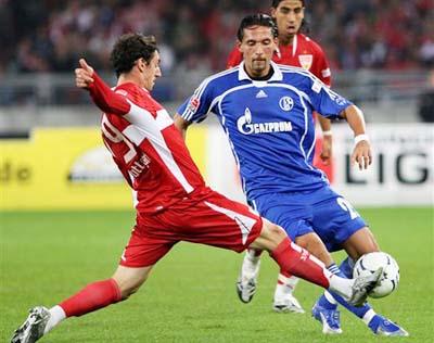 才能在羽毛 才能在羽毛